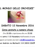 il mondo delle orchide evento fb 