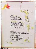 sos orchidea 