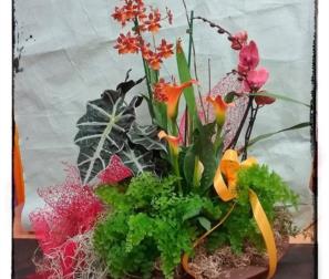 composizione con orchidee, tillandsia e piante verdi. 