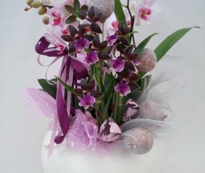 composizione Orchidee 