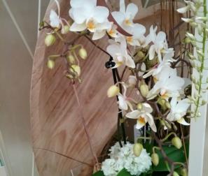 Cuore in legno e fiori bianchi 