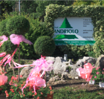 angolo d'ingresso al vivaio 