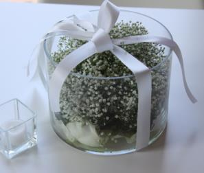 Gypsophila in trasparenza 