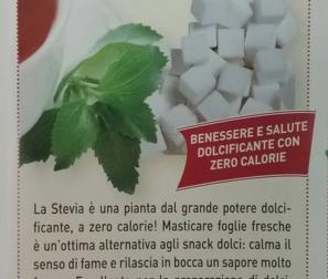 scheda  stevia 
