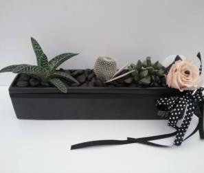 vaso in ceramica con fiori e cactus 