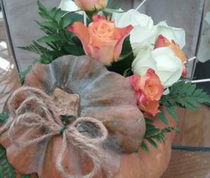 Zucca con fiori arancio 