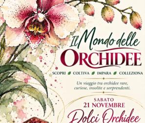 il mondo delle orchidee 2026 