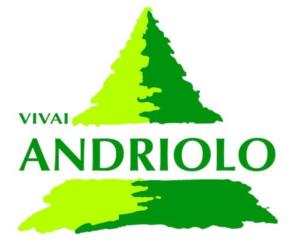 logoandriolo 