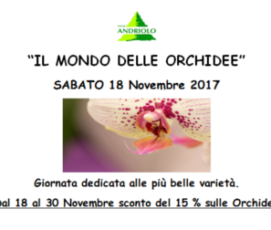 evento orchidee 2017 